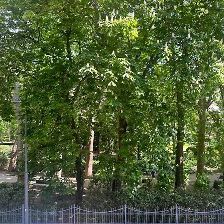 Aurora Gargen In Centro